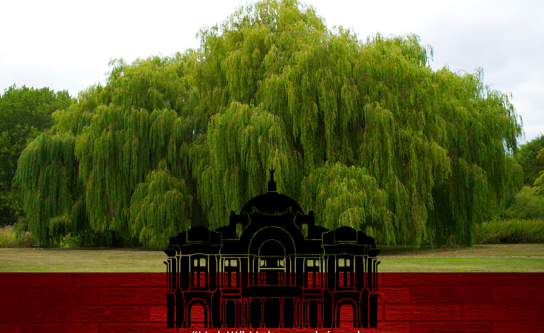 Scene 6 - The Old Willow Tree